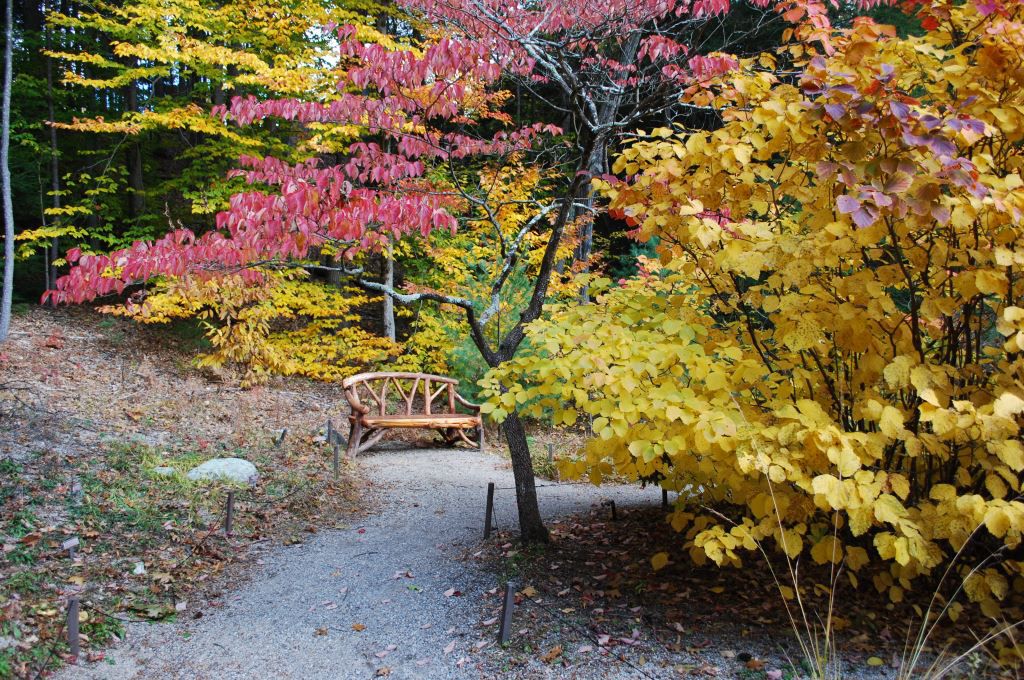 Autumn color at Garden in the Woods A beautiful autumn scene in Garden in the Woods with colorful fall foliage.
