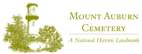 green-white-logo