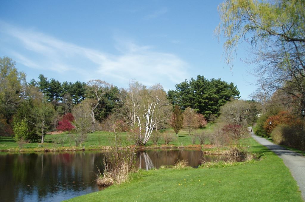 A tranquil pond scene within the outdoor gardens at Wellesley College.
